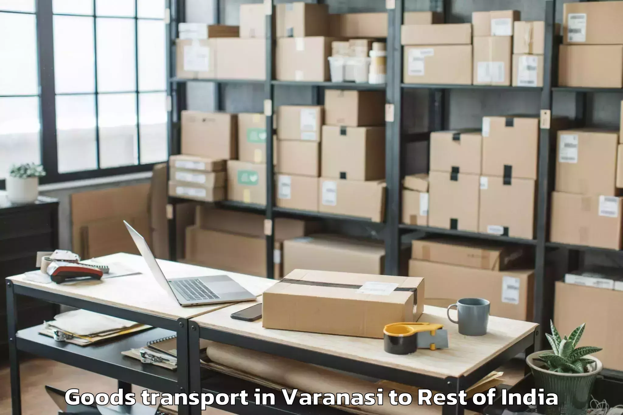 Book Varanasi to Charar E Shrief Goods Transport Online